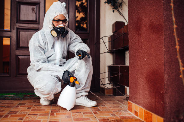 Attic and Crawl Space Rodent Treatment in Wanamassa