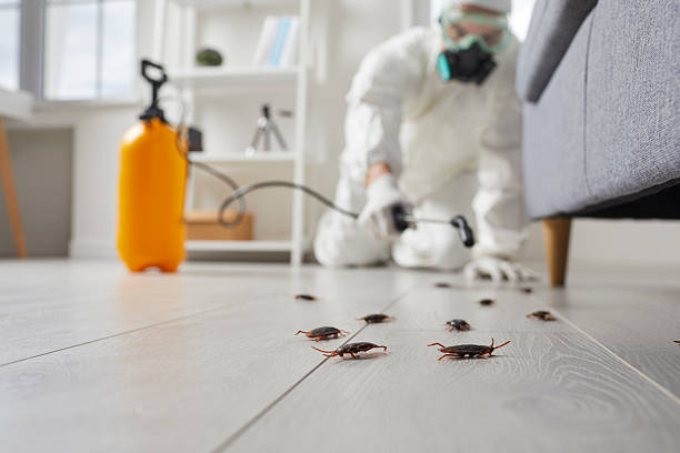 Commercial Rodent Management in Wanamassa